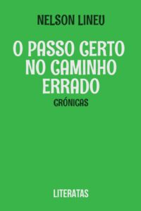 O passo certo no caminho errado – ebook de Nelson Lineu