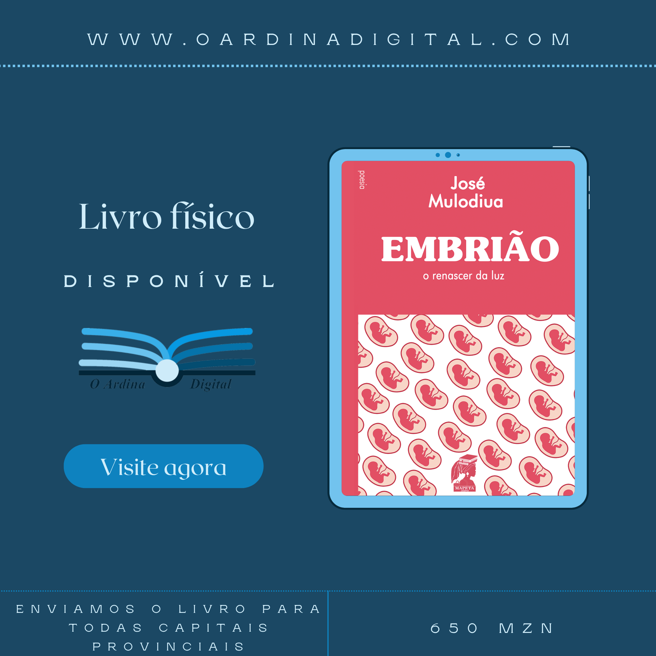 Embrião, o renascer da luz - livro de José Mulodiua - Imagem 3