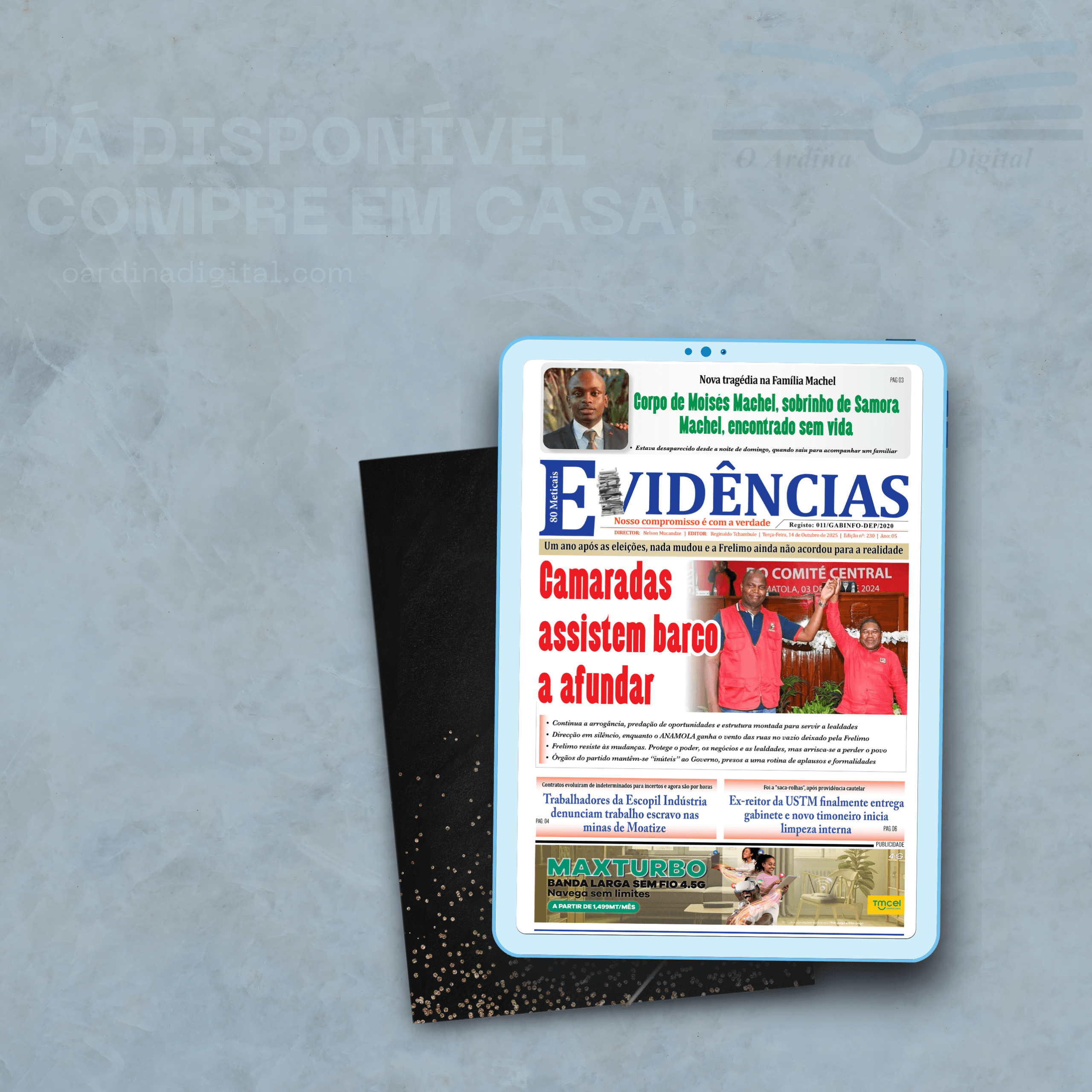 Jornal Evidências – edição digital nº 230