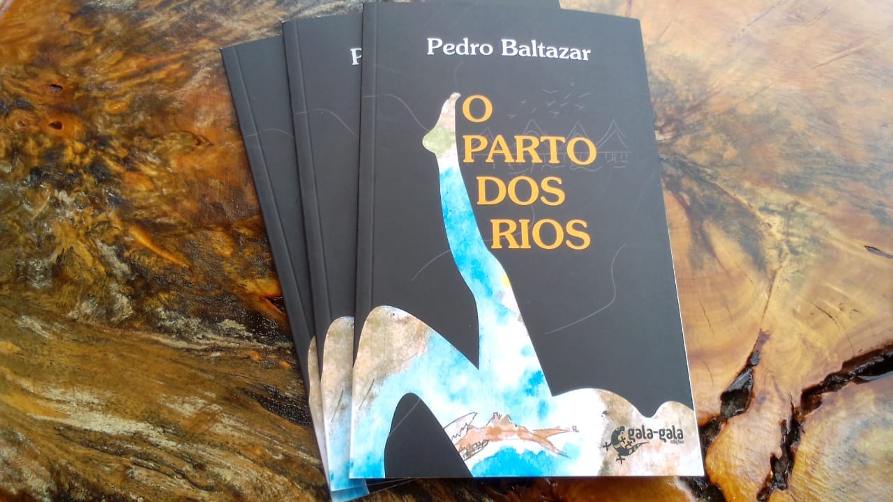 O Parto dos Rios – livro de Pedro Baltazar - Imagem 2