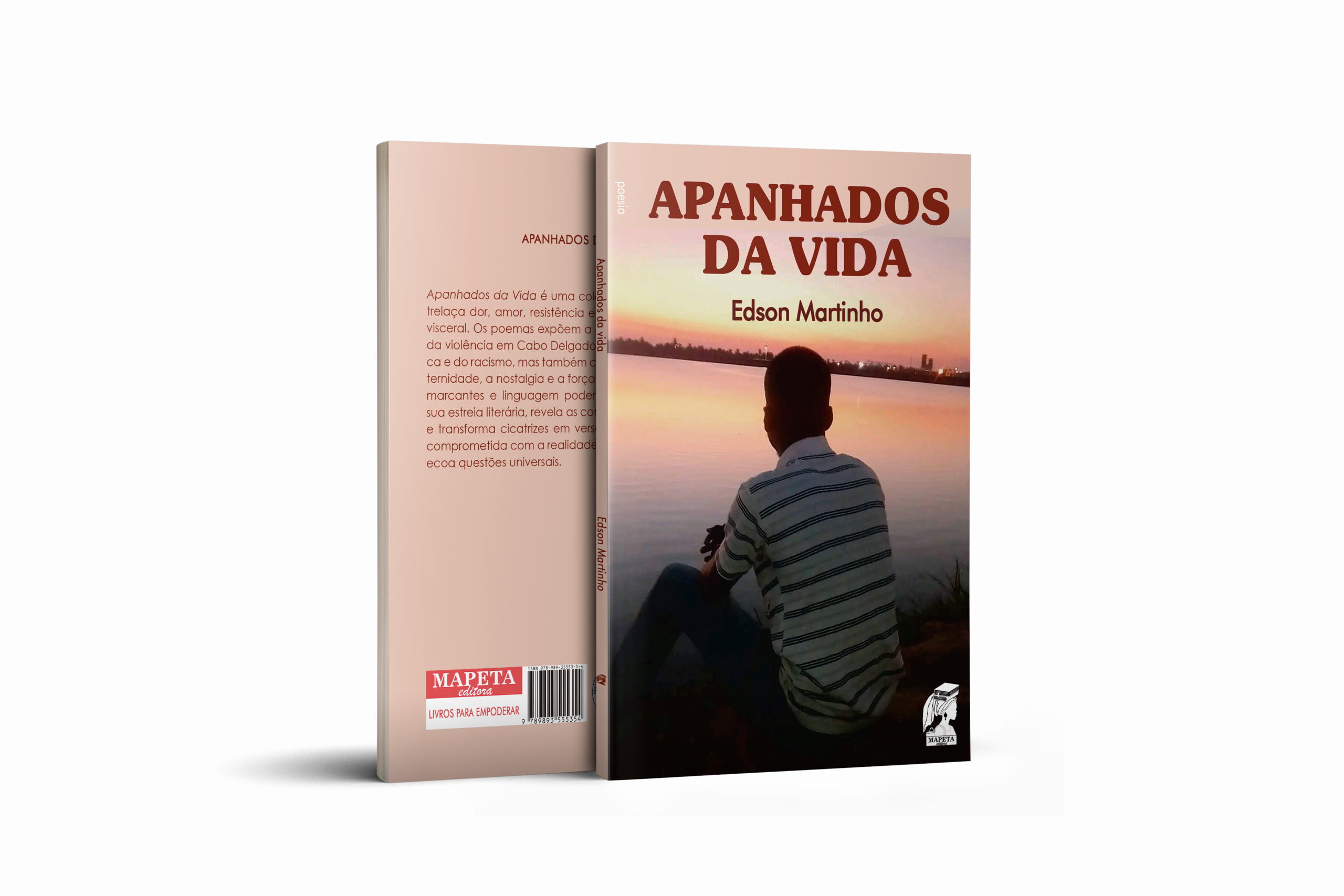 Apanhados da vida - livro de Edson Martinho - Imagem 3