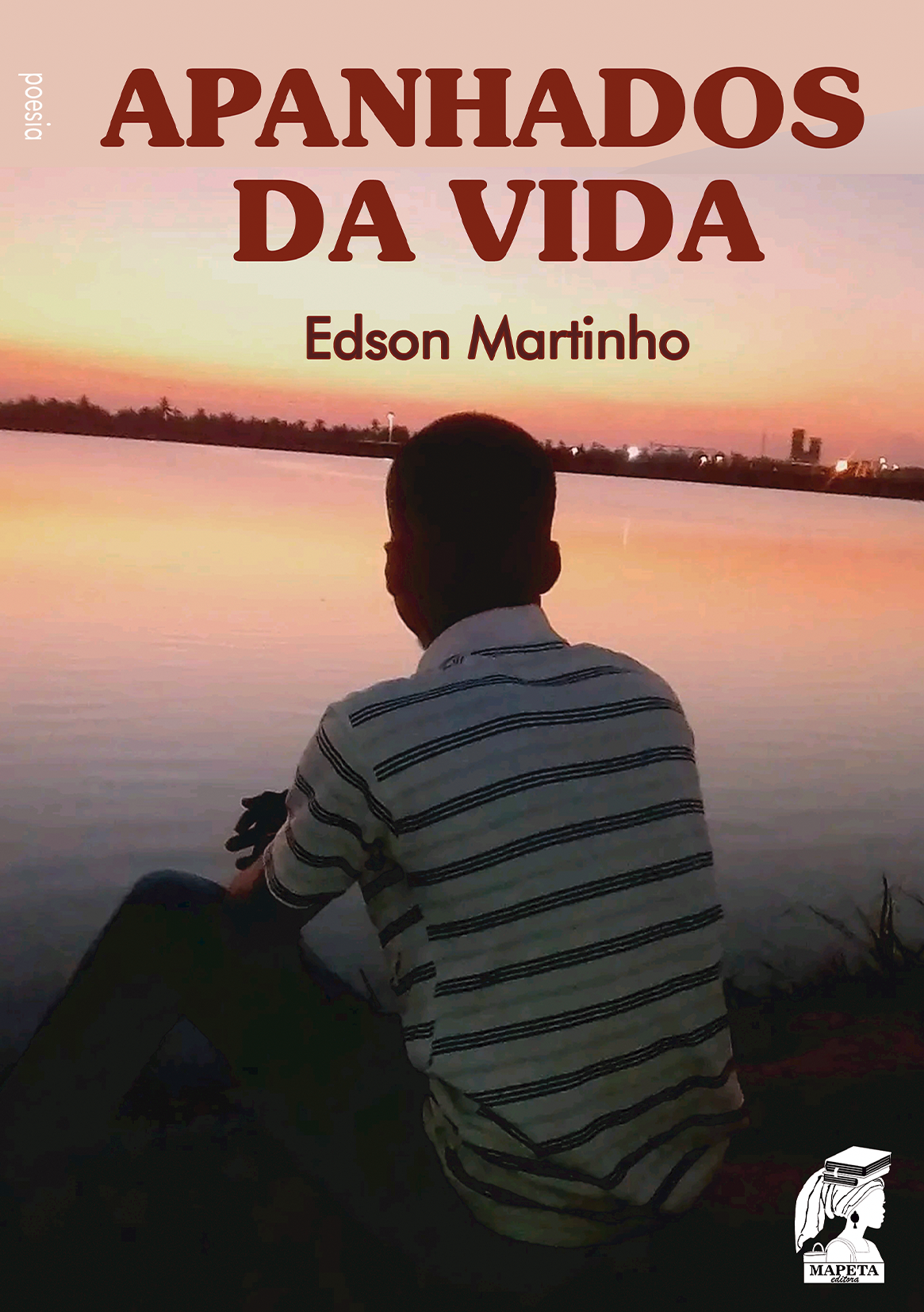 Apanhados da vida - livro de Edson Martinho - Imagem 2