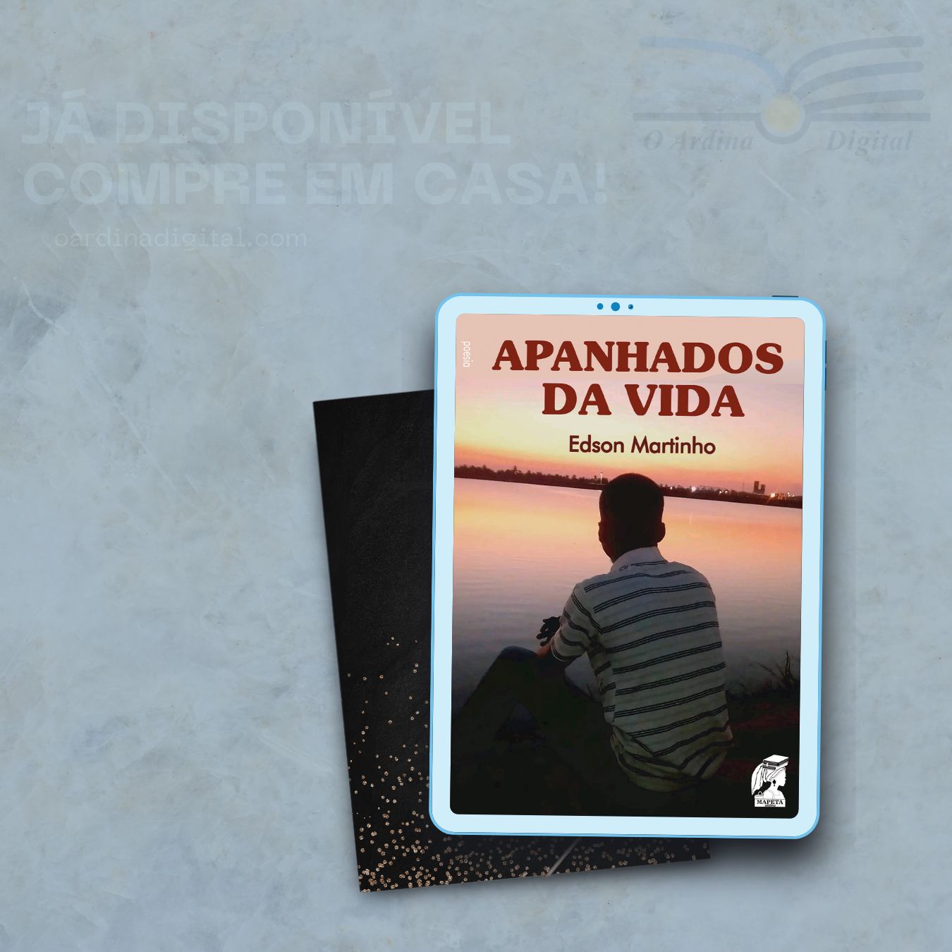 Apanhados da vida – livro de Edson Martinho