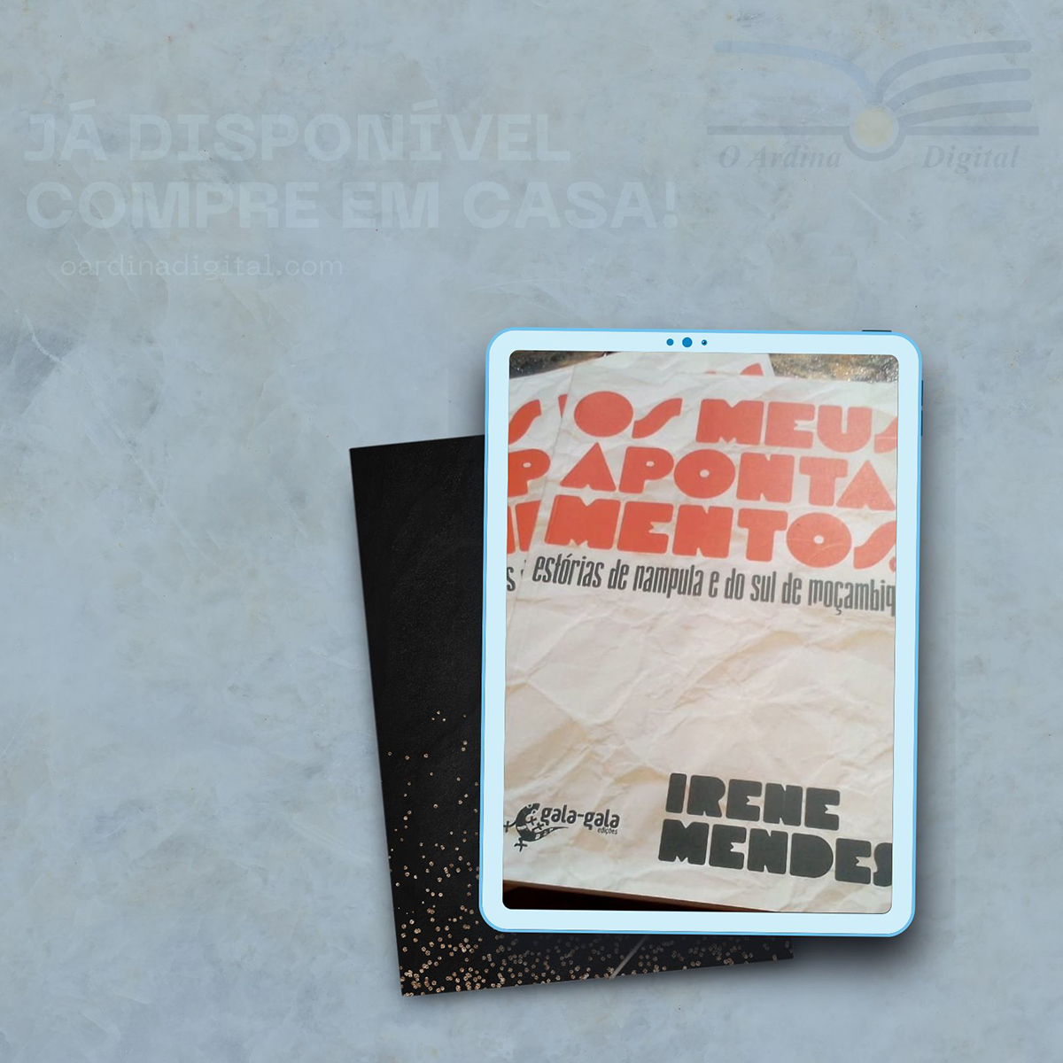 Os Meus Apontamentos (1) estórias de Nampula e do sul de Moçambique – livro de Irene Mendes