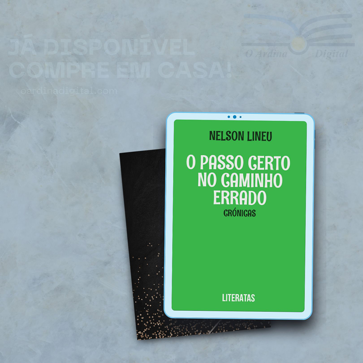 O passo certo no caminho errado – ebook de Nelson Lineu